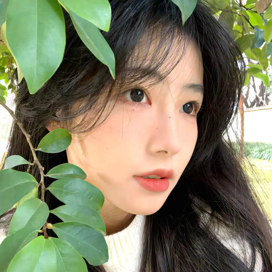 奇幻沼泽第三季